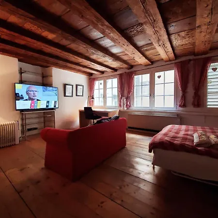 Swiss Style Hotel Zurich