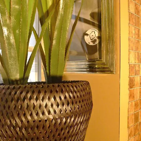 Swiss Style * Zurigo