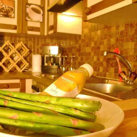 Swiss Style * Zurigo