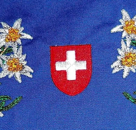Swiss Style ホテル