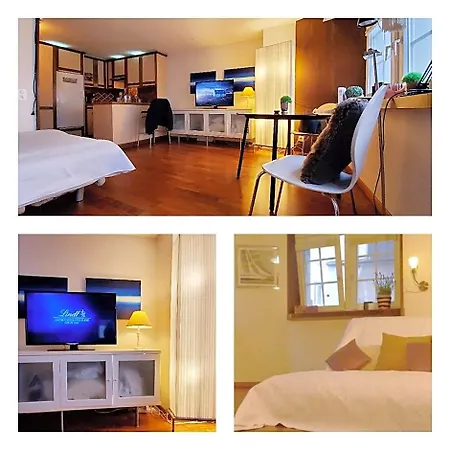 Swiss Style Otel Zürih